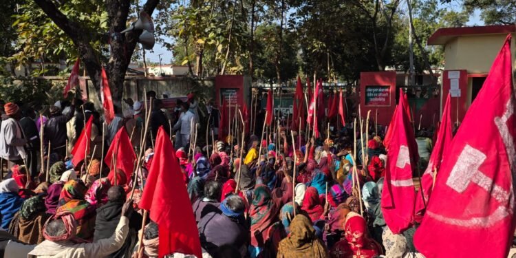 WhatsApp Image 2026 01 09 at 4.17.12 PM 1