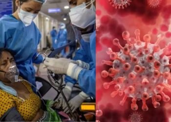 WhatsApp Image 2026 01 09 at 5.11.13 PM 1 3