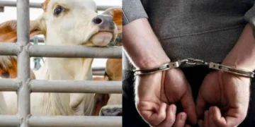 WhatsApp Image 2026 01 09 at 5.11.13 PM 25