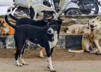 WhatsApp Image 2026 01 21 at 8.47.28 AM