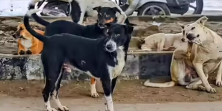 WhatsApp Image 2026 01 21 at 8.47.28 AM