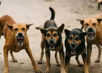 WhatsApp Image 2026 01 23 at 8.26.33 AM 1