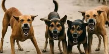 WhatsApp Image 2026 01 23 at 8.26.33 AM 1