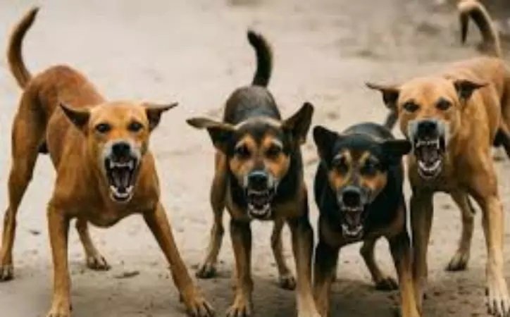 WhatsApp Image 2026 01 23 at 8.26.33 AM 1