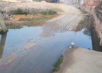 WhatsApp Image 2026 01 23 at 8.26.33 AM