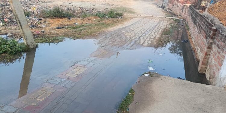 WhatsApp Image 2026 01 23 at 8.26.33 AM