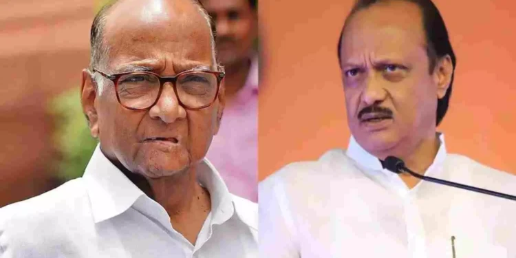 WhatsApp Image 2026 01 29 at 3.46.46 PM 1 1