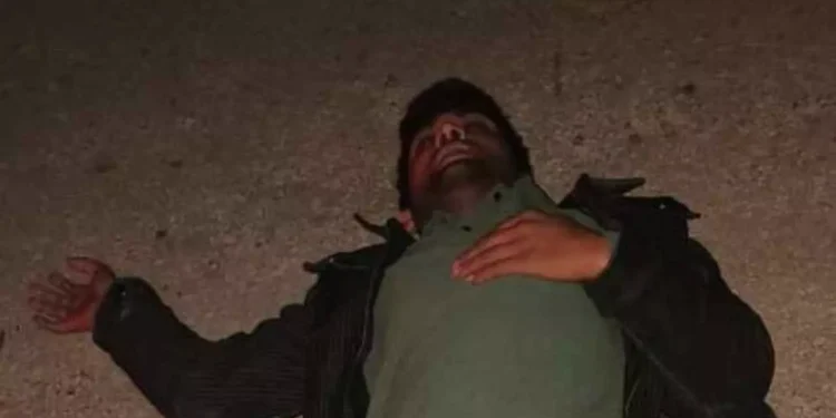 WhatsApp Image 2026 01 29 at 3.46.46 PM 1 3