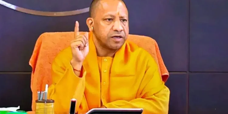 WhatsApp Image 2026 01 29 at 3.46.46 PM 1 4