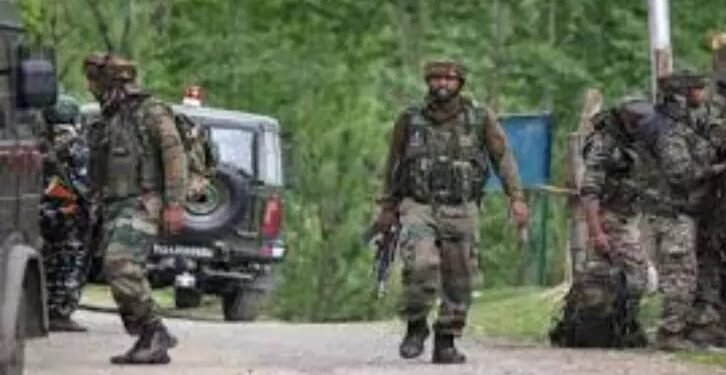 WhatsApp Image 2026 02 02 at 5.19.38 PM