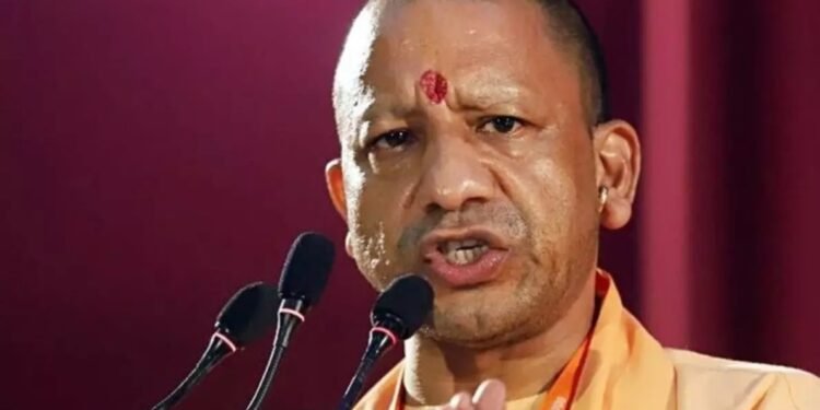 WhatsApp Image 2026 02 06 at 2.09.43 PM 1