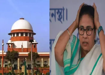 WhatsApp Image 2026 02 06 at 2.09.43 PM