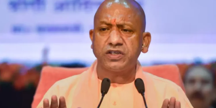 WhatsApp Image 2026 02 07 at 11.55.01 AM 1