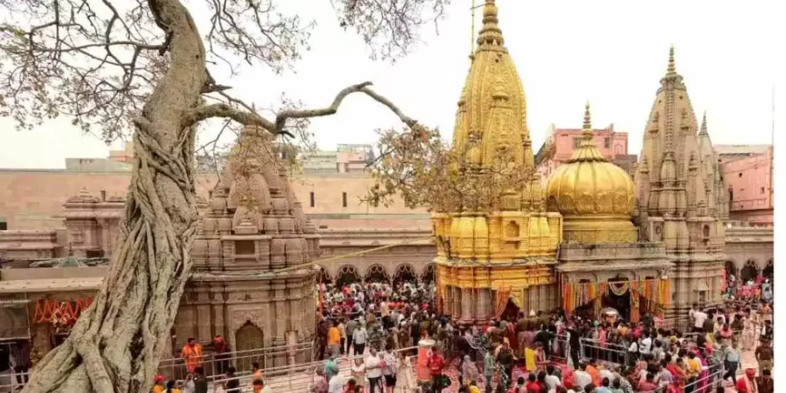 WhatsApp Image 2026 02 13 at 9.41.20 PM