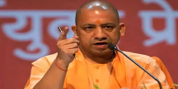 WhatsApp Image 2026 02 16 at 11.20.28 AM 3