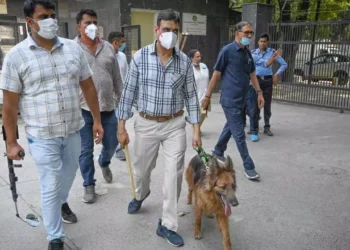 WhatsApp Image 2026 02 16 at 11.20.28 AM