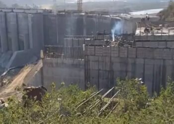 WhatsApp Image 2026 02 17 at 11.00.14 AM 1