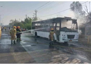 WhatsApp Image 2026 02 24 at 9.52.18 AM 1 1