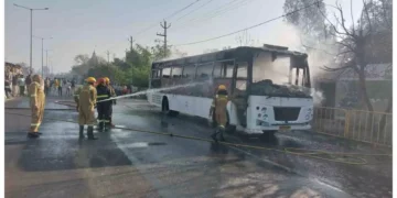 WhatsApp Image 2026 02 24 at 9.52.18 AM 1 1