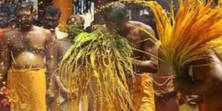 WhatsApp Image 2026 02 24 at 9.52.18 AM 1 1