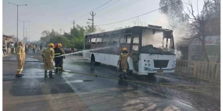 WhatsApp Image 2026 02 24 at 9.52.18 AM 1 1