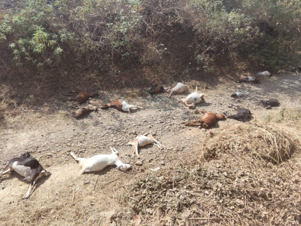 WhatsApp Image 2026 03 07 at 10.25.10 AM 1