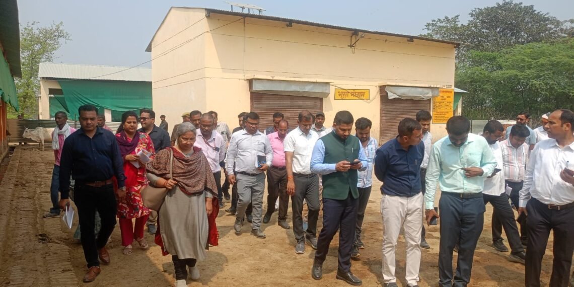 WhatsApp Image 2026 03 09 at 8.15.33 PM