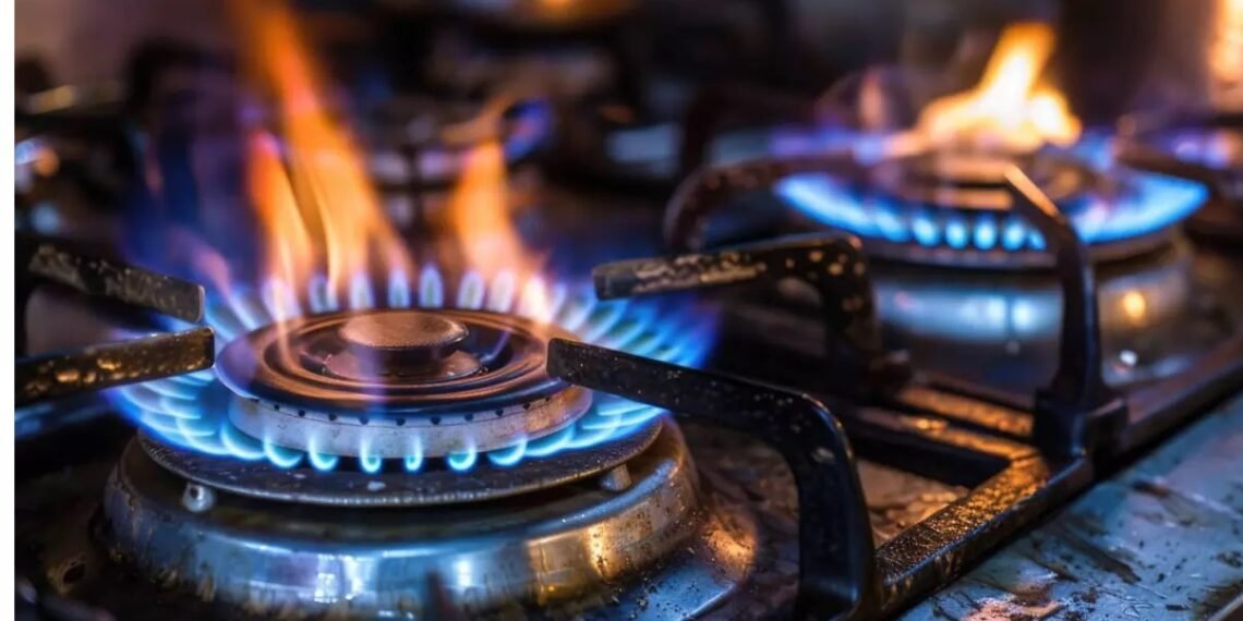 WhatsApp Image 2026 03 10 at 4.11.43 PM 1 4