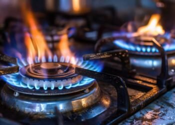 WhatsApp Image 2026 03 10 at 4.11.43 PM 1 4