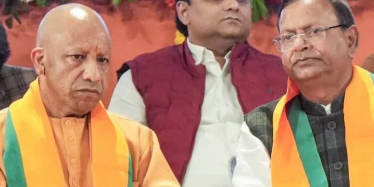 WhatsApp Image 2026 03 14 at 2.11.10 PM