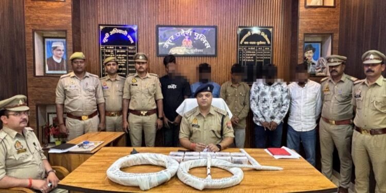 Kushinagar: नेशनल हाईवे किनारे खड़े वाहनों से डीजल चोरी करने वाले गैंग का पर्दाफाश, पाँच गिरफ्तार 1 WhatsApp Image 2026 03 21 at 4.53.31 PM