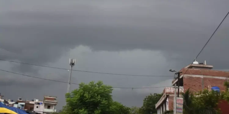 WhatsApp Image 2026 03 24 at 11.32.51 PM