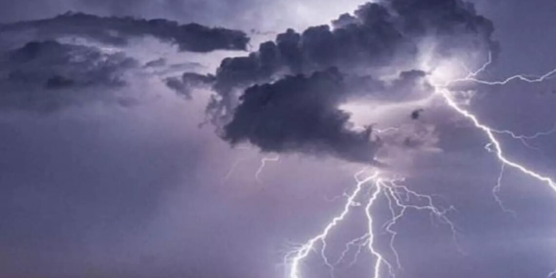 WhatsApp Image 2026 03 31 at 10.20.58 AM 1 1