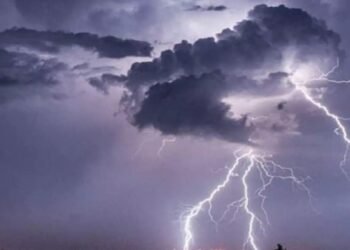 WhatsApp Image 2026 03 31 at 10.20.58 AM 1 1