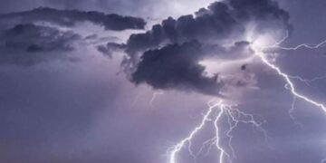 WhatsApp Image 2026 03 31 at 10.20.58 AM 1 1