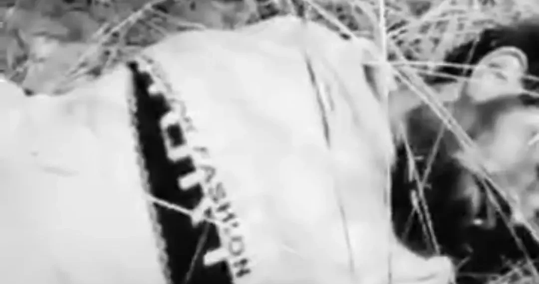 WhatsApp Image 2026 03 31 at 10.20.58 AM 1 1