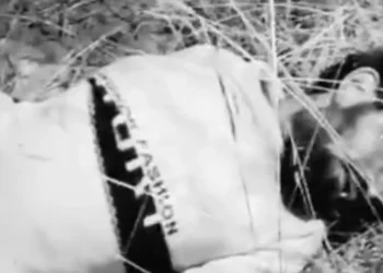 WhatsApp Image 2026 03 31 at 10.20.58 AM 1 1