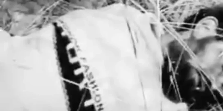 WhatsApp Image 2026 03 31 at 10.20.58 AM 1 1