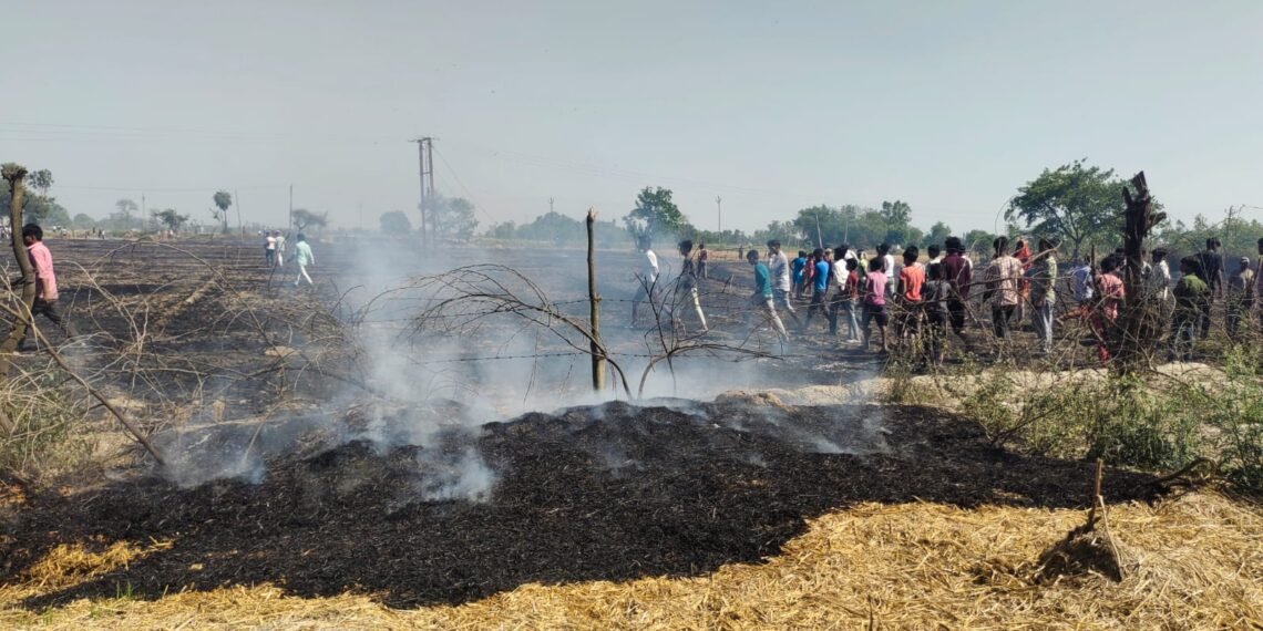 WhatsApp Image 2026 04 11 at 9.22.00 AM 1