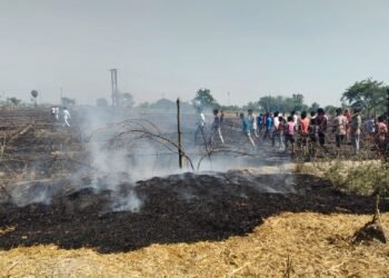 WhatsApp Image 2026 04 11 at 9.22.00 AM 1