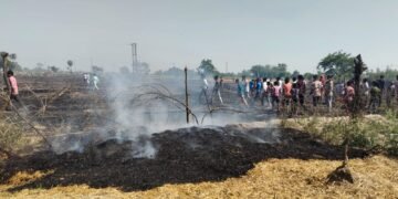 WhatsApp Image 2026 04 11 at 9.22.00 AM 1