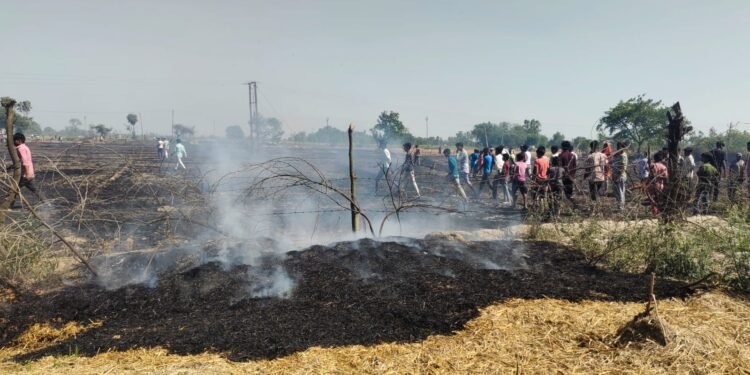 UP News: बाराबंकी में हाई टेंशन लाइन की चिंगारी से गेहूं की फसल जलकर नष्ट 1 WhatsApp Image 2026 04 11 at 9.22.00 AM 1