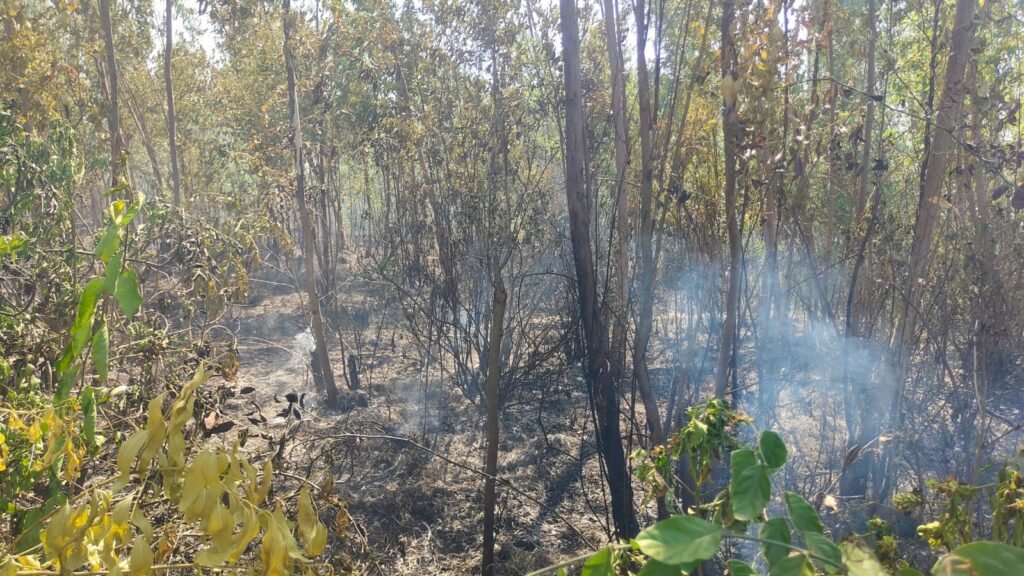 UP News: बाराबंकी में हाई टेंशन लाइन की चिंगारी से गेहूं की फसल जलकर नष्ट 2 WhatsApp Image 2026 04 11 at 9.22.00 AM