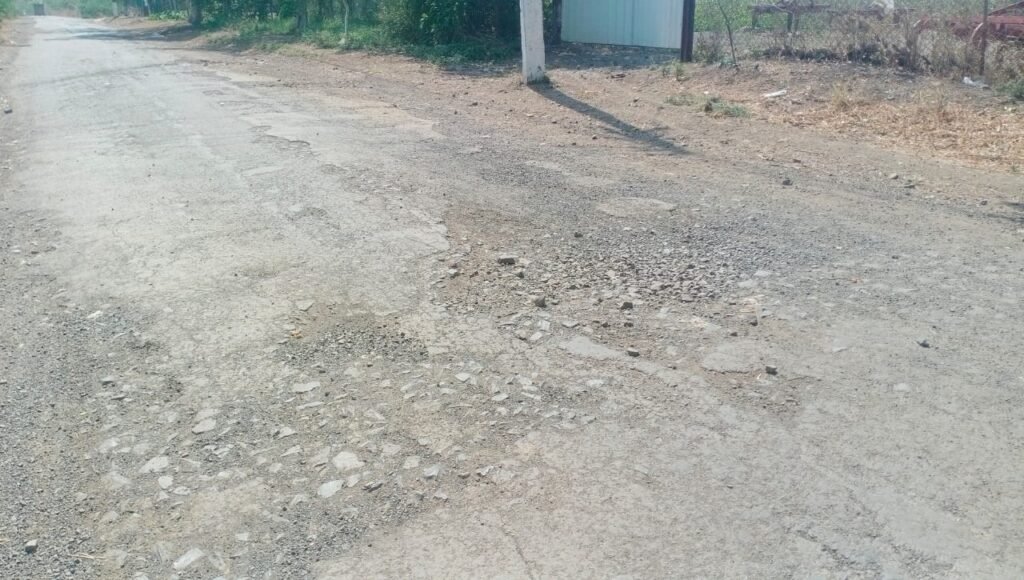 WhatsApp Image 2026 04 12 at 11.33.01 AM