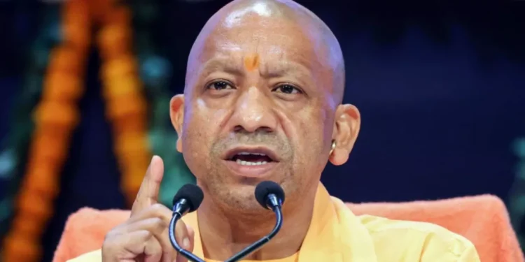 WhatsApp Image 2026 04 13 at 11.31.50 AM 1