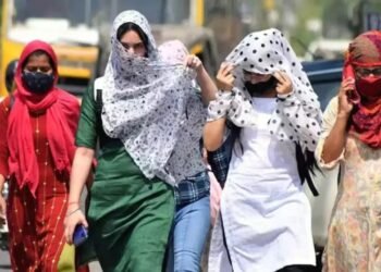 WhatsApp Image 2026 04 18 at 11.13.04 PM 1 1