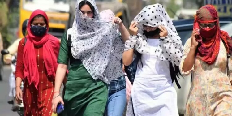 WhatsApp Image 2026 04 18 at 11.13.04 PM 1 1