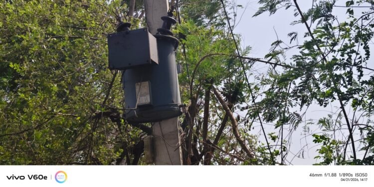 WhatsApp Image 2026 04 22 at 2.28.53 PM