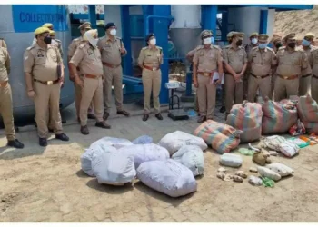 WhatsApp Image 2026 04 28 at 11.36.09 5