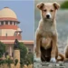 SC on Stray Dogs: स्कूल, अस्पताल और रेलवे स्टेशन के पास नहीं दिखेंगे स्ट्रे डॉग्स! SC सख्त, 2025 का आदेश बरकरार 2 154341647 1 4